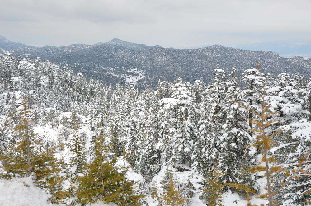 25 santim kar yağdığını duyan Konya yoluna akın etti 26